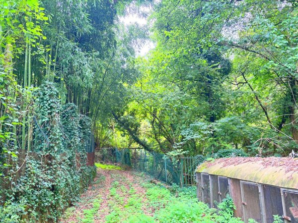 casa indipendente in vendita a Capannori in zona Guamo