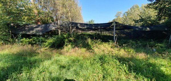 terreno agricolo in vendita a Capannori