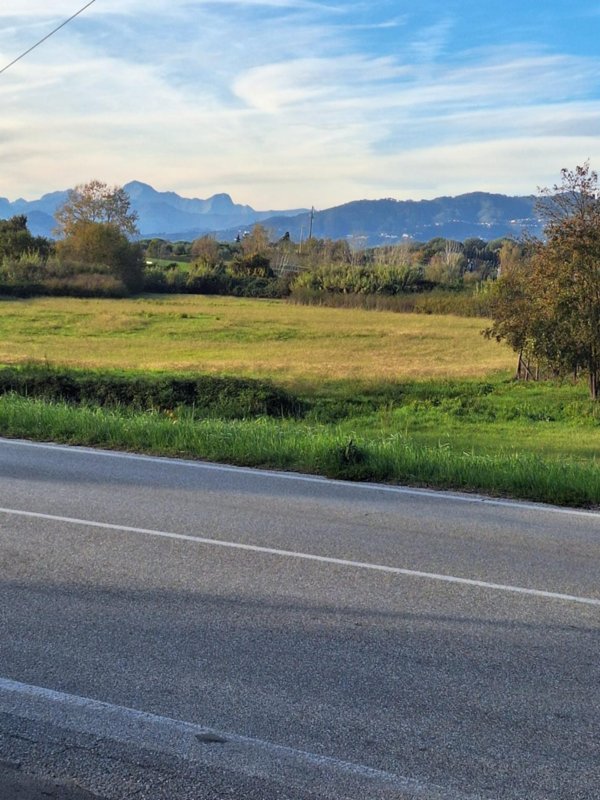 terreno agricolo in vendita a Capannori