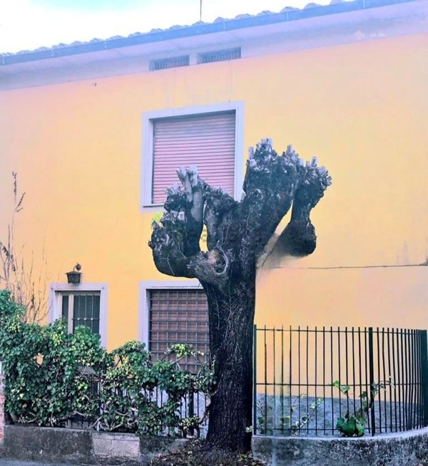casa indipendente in vendita a Capannori