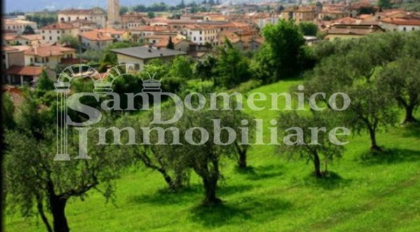 terreno agricolo in vendita a Capannori