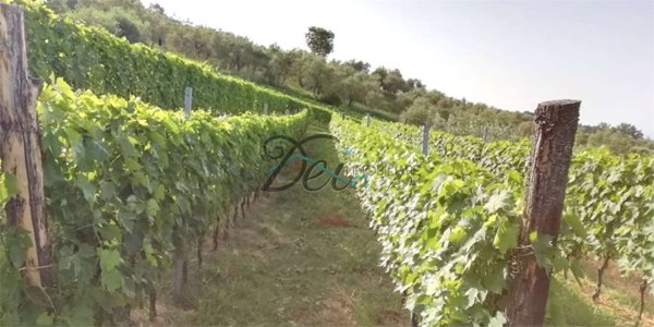 ufficio in vendita a Capannori in zona Lunata