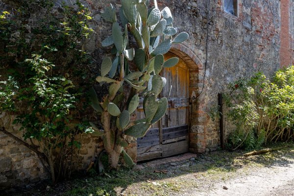 casa indipendente in vendita a Capannori