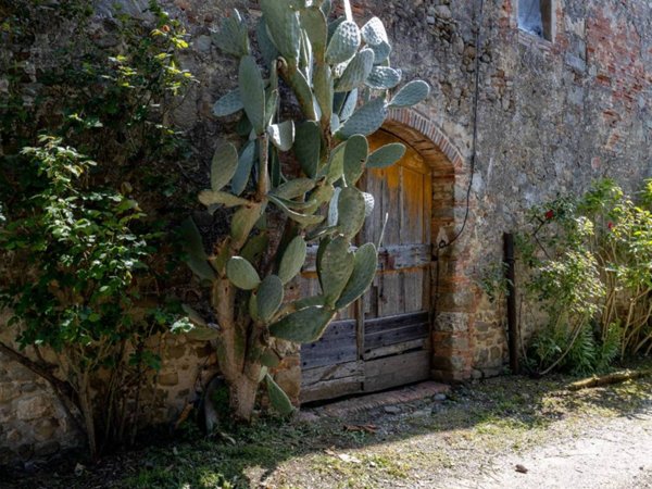 casa indipendente in vendita a Capannori in zona San Gennaro