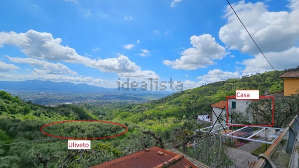 casa indipendente in vendita a Capannori