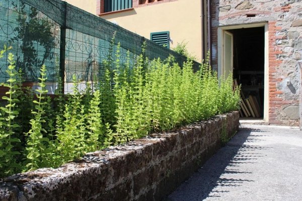 casa indipendente in vendita a Capannori