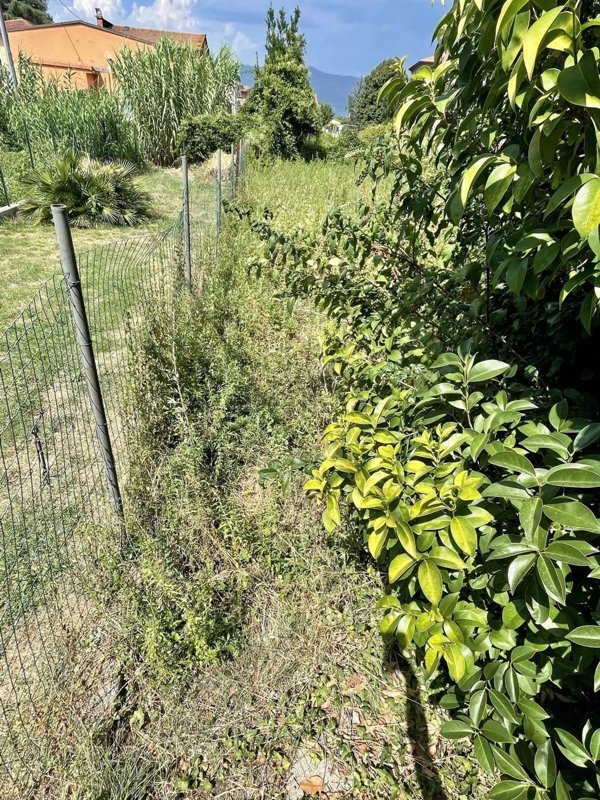 casa indipendente in vendita a Capannori
