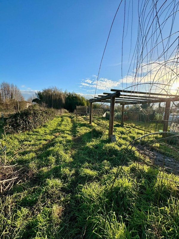 casa indipendente in vendita a Capannori in zona Lammari