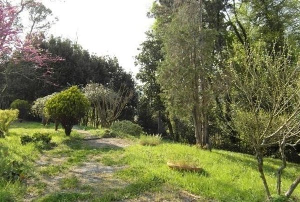 casa indipendente in vendita a Capannori in zona Marlia