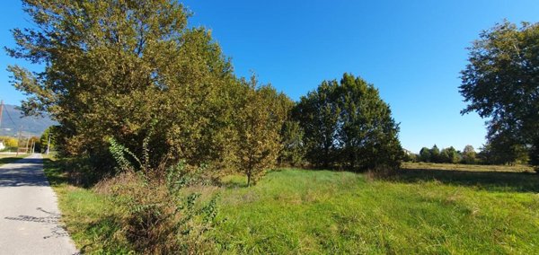 terreno agricolo in vendita a Capannori