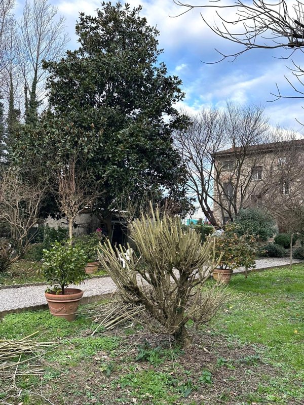 casa indipendente in vendita a Capannori in zona Lunata