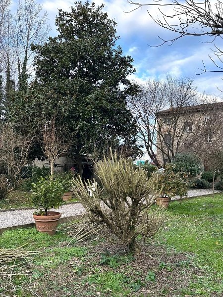 casa indipendente in vendita a Capannori in zona Lunata