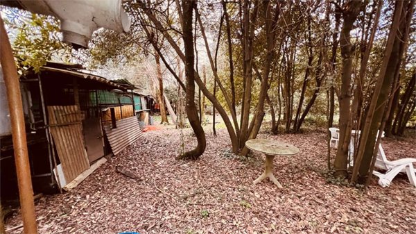 casa indipendente in vendita a Capannori in zona Segromigno in Monte