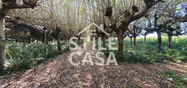 terreno agricolo in vendita a Capannori
