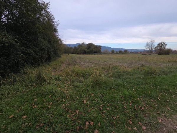 terreno agricolo in vendita a Capannori