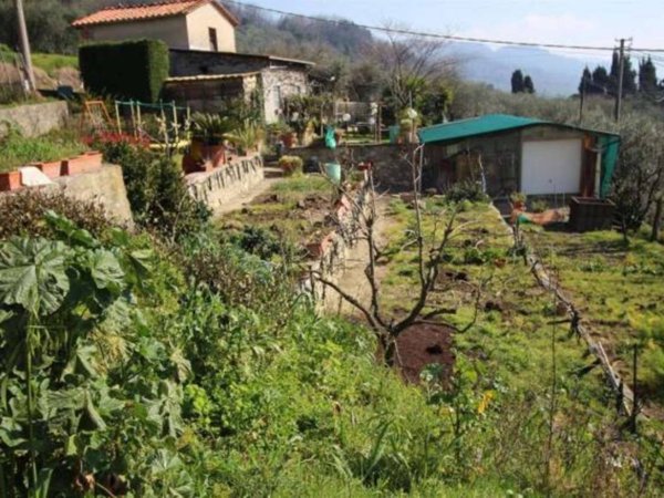 appartamento in vendita a Capannori in zona San Gennaro