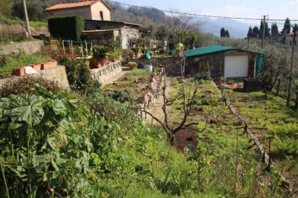 appartamento in vendita a Capannori in zona San Gennaro