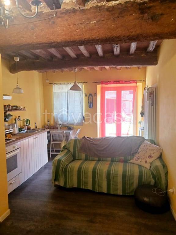casa indipendente in vendita a Capannori in zona Carraia