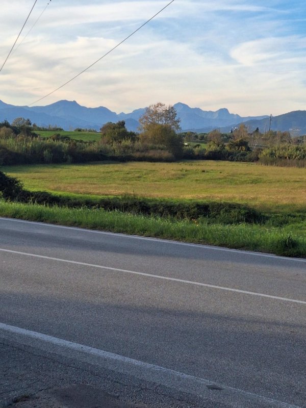 terreno agricolo in vendita a Capannori