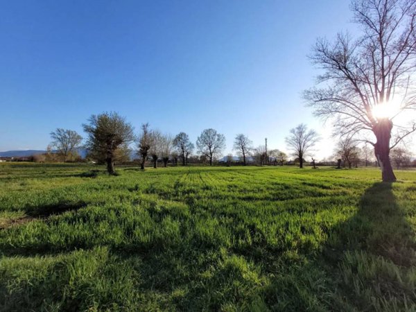 terreno agricolo in vendita a Capannori in zona Lammari