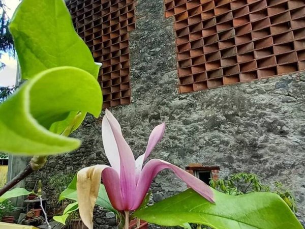 casa indipendente in vendita a Capannori in zona Lunata