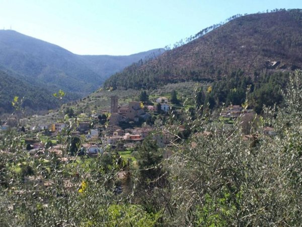 terreno agricolo in vendita a Capannori
