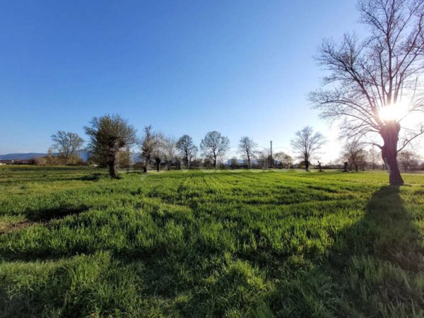 terreno agricolo in vendita a Capannori in zona Lammari