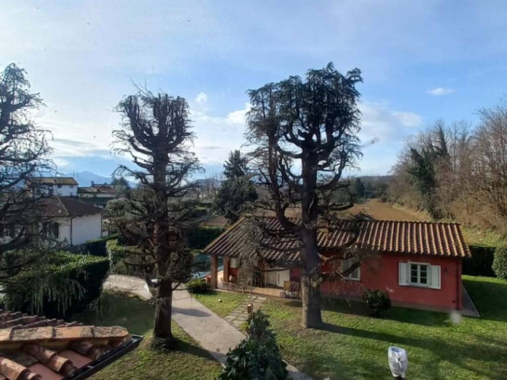 negozio in vendita a Capannori in zona Lunata