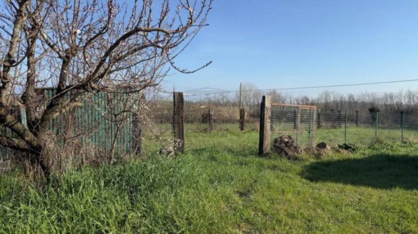 casa semindipendente in vendita a Capannori