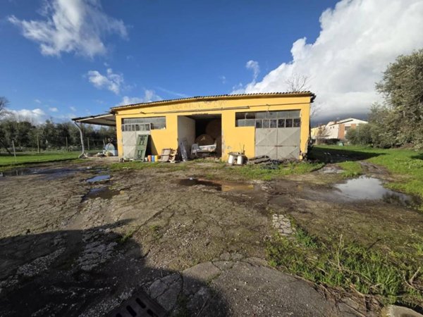 negozio in vendita a Capannori in zona Lammari
