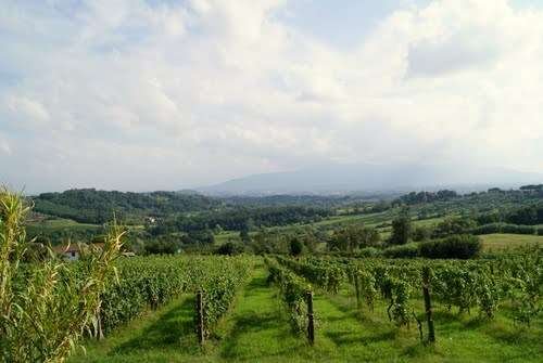 casa indipendente in vendita a Capannori in zona Lunata