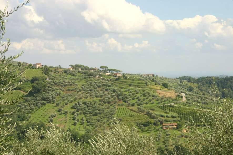 casa indipendente in vendita a Capannori in zona Lunata