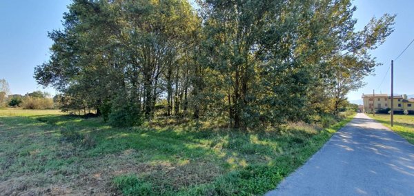 terreno agricolo in vendita a Capannori
