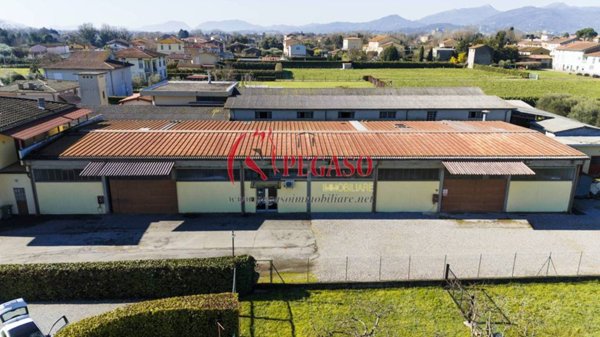 villa in vendita a Capannori in zona Lammari