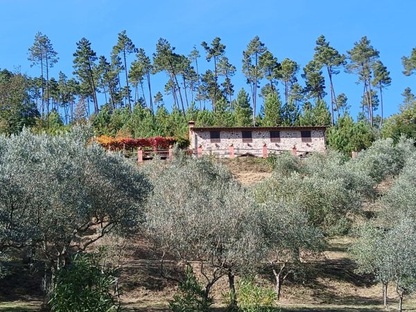 casale in vendita a Capannori