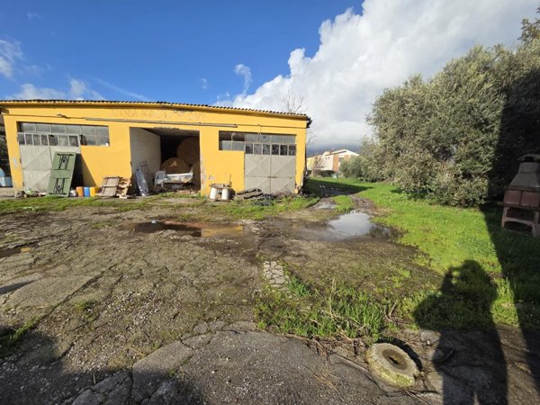 azienda agricola in vendita a Capannori in zona Lammari