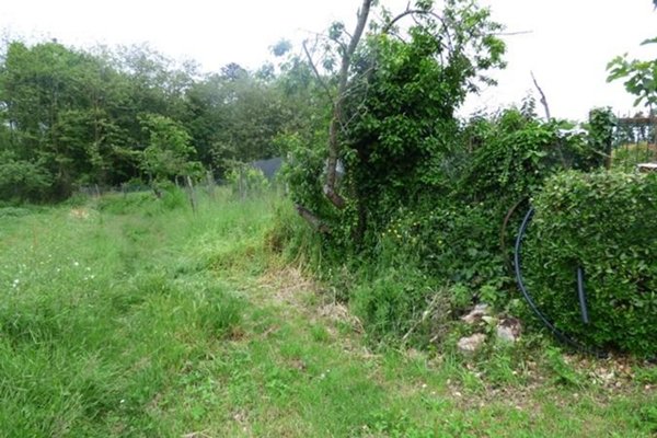 casa indipendente in vendita a Capannori