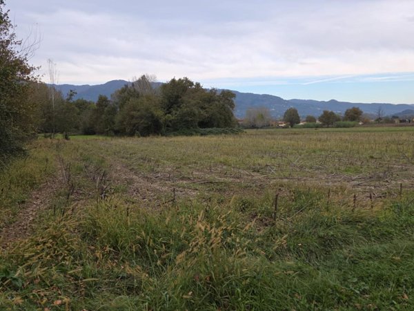 terreno agricolo in vendita a Capannori