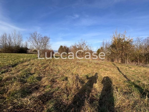 terreno agricolo in vendita a Capannori