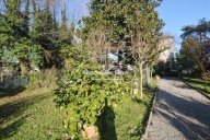 casa indipendente in vendita a Capannori in zona Lunata