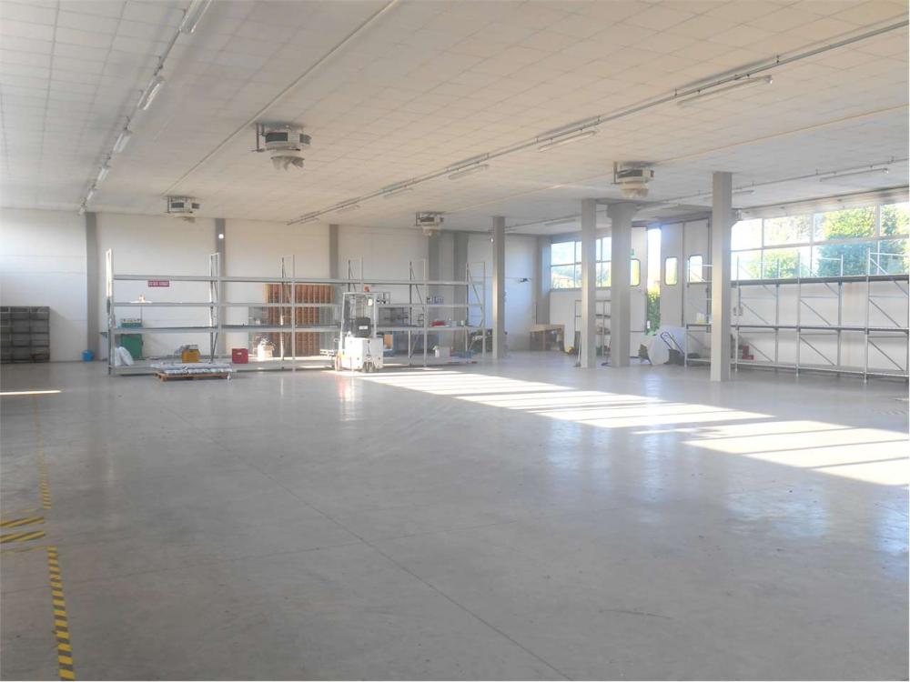 negozio in vendita a Capannori in zona Lunata