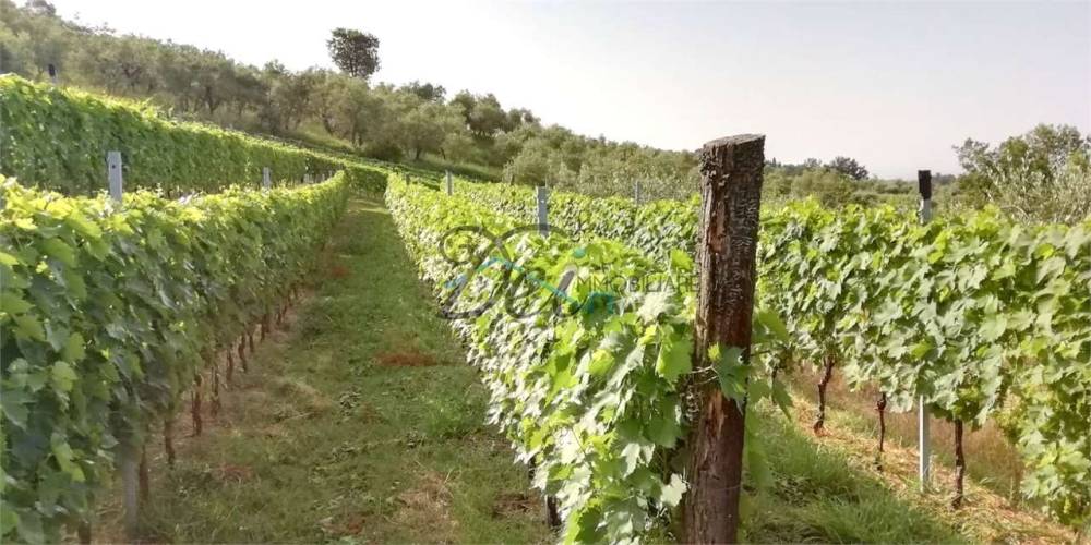 ufficio in vendita a Capannori in zona Lunata