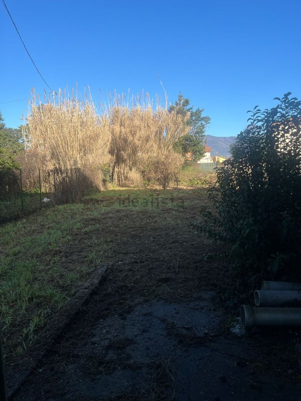 casa indipendente in vendita a Capannori