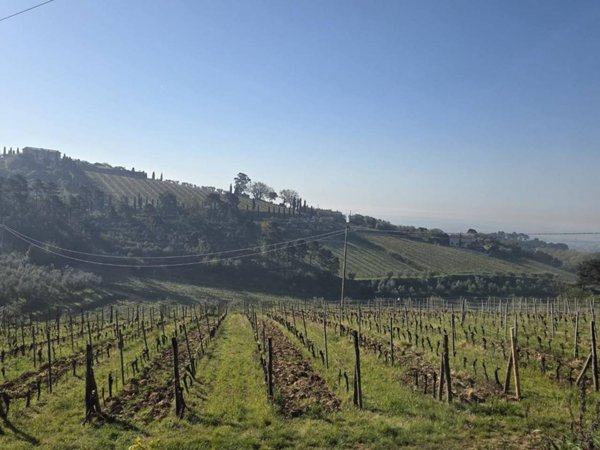 intera palazzina in vendita a Capannori