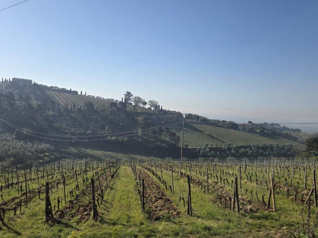 casa indipendente in vendita a Capannori