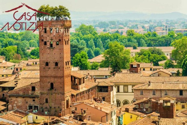 negozio in vendita a Capannori