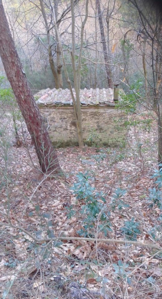 terreno agricolo in vendita a Capannori