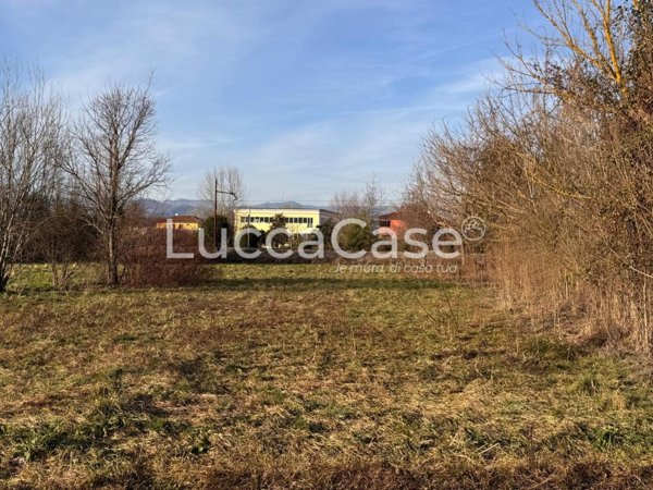 terreno agricolo in vendita a Capannori
