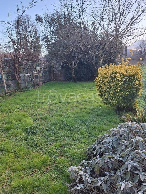 casa indipendente in vendita a Capannori