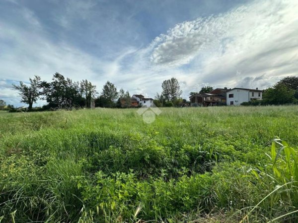 terreno agricolo in vendita a Capannori in zona Lammari